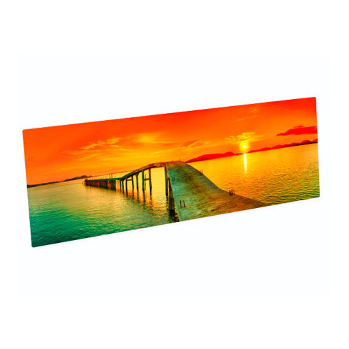 9" x 21" Silver Aluminum Photo Panel