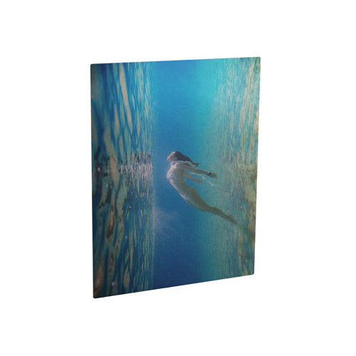 16" x 20" Silver Aluminum Photo Panel